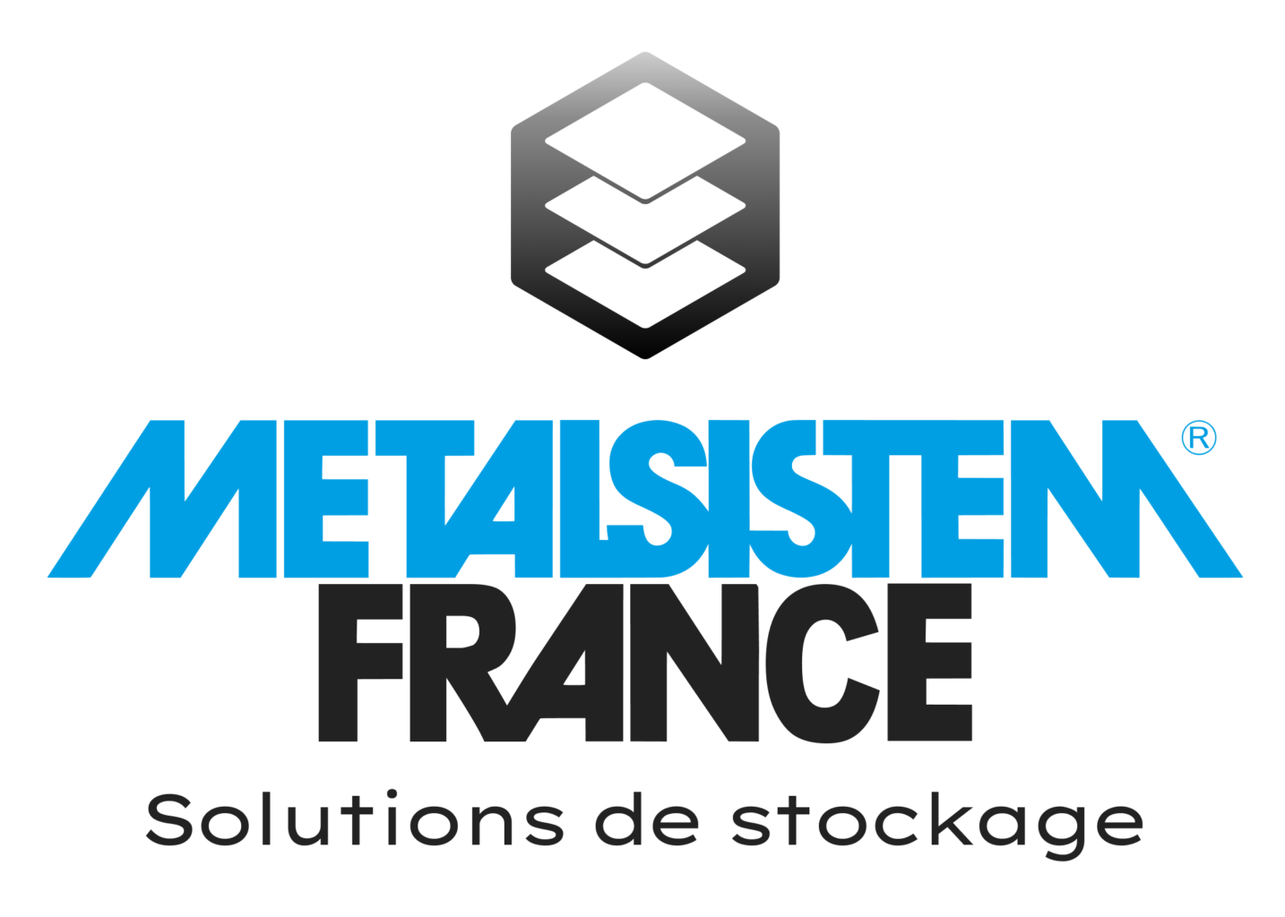 Logo Metalsistem-france